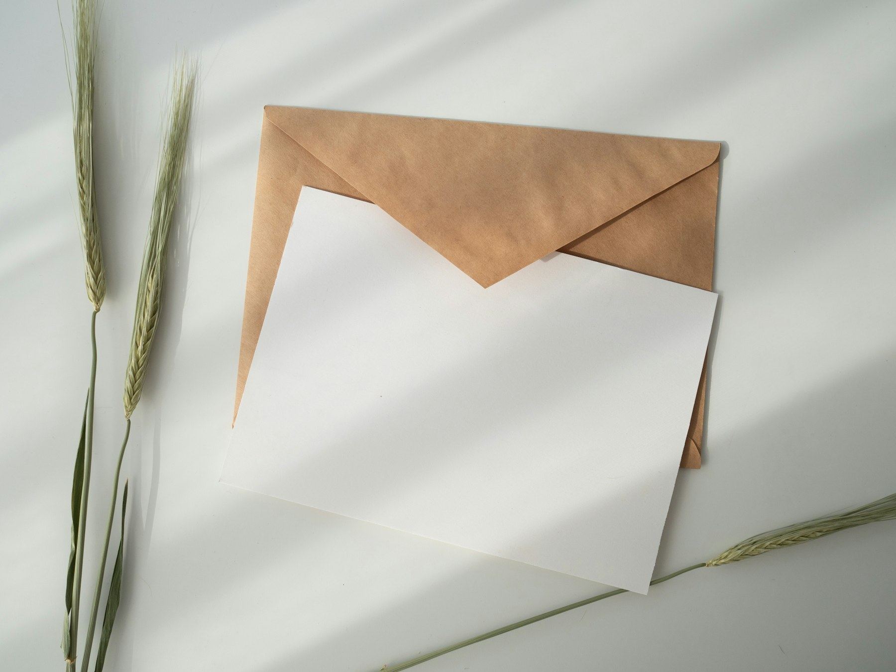 Kertas putih kosong di dalam amplop cokelat, di samping batang rumput kering